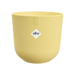 jazz rond 19cm cream yellow